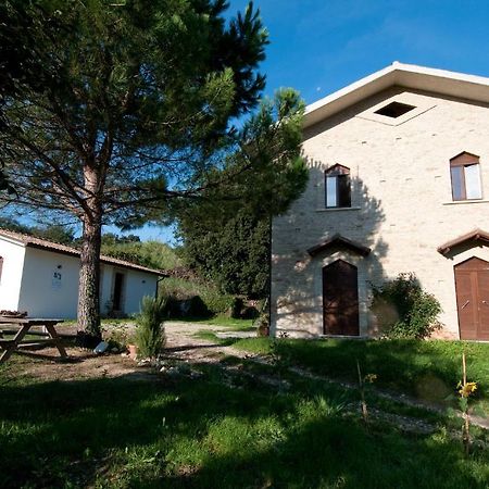 Casa Dell'Orto Pensionat San Vito Chietino Exteriör bild